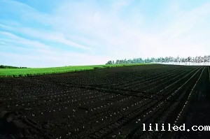 可以使用分光测色仪测量黑土地的颜色吗？
