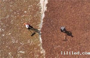 色差宝在油茶颜色测量中的应用