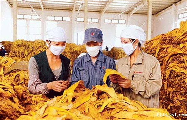 烟叶分级灯箱的色温和显色指数是多少？